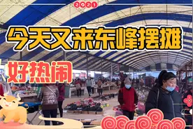 四川省资阳市雁江区东峰赶场，双号赶场，市场集中位置好找视频封面