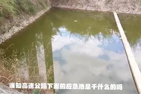 发现高速公路下面的应急池不知道是干什么的视频封面