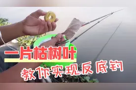 一片枯树叶怎么实现反底钓？六哥教你轻松实现反底钓