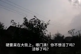 农村大广播，美女村长怒怼：你们不听劝，是活够了吗？视频封面