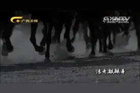 秦始皇平定百越打通长江-珠江水路，开创了桂湘粤交通交易新纪元