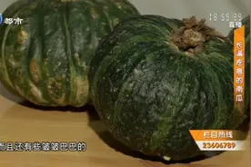 疑惑！长疙瘩的南瓜能吃吗？市民：里面肯定有药！