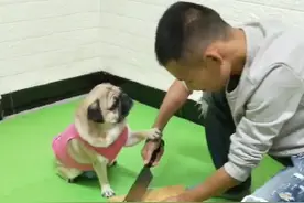 聪明的救孩方法