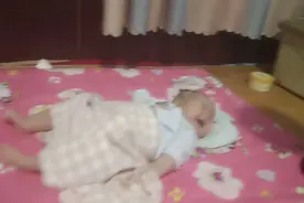 鼠宝宝成长记视频封面