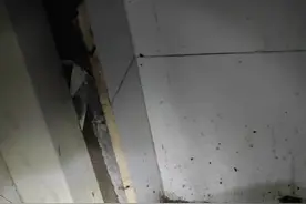 蟑螂消杀全过程视频封面
