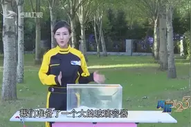 生石灰溅到身上到底应该如何处理？《真相123》邀请医生作答