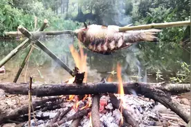 户外烤鱼，做法简单，一人吃一整条，这个夏天就是爽