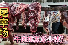 广西南宁市最大屠宰场之一！牛肉批发多少钱？视频封面
