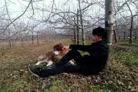 离开故土远走他乡去打工，快奔六的老农，都市是否是你的天堂。视频封面