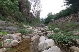 去泰安河沟捡泰山石！你看我选的这个图案怎么样？值钱不！视频封面