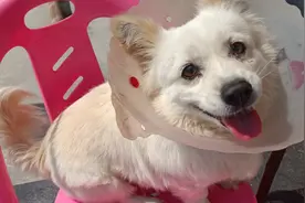 90后小说作者的自我介绍