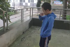 不小心摁死一只臭大姐，洗不掉的臭味。最后也算有所收获。