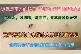 南方的蚊子有多厉害？上来就咬人立马起大包，我这腿就没休息过视频封面
