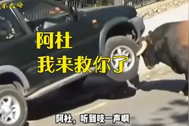 牛：阿杜，是你吗？我来救你来了！