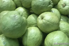 第一次吃芭乐，可把徐州姑娘愁坏了，芭乐到底该怎么吃？视频封面