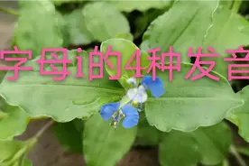 英语字母i的4种发音