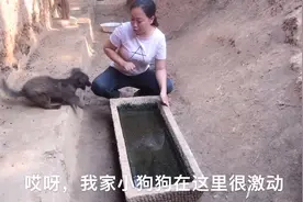 充满生机勃勃的农村院子，单身汉一人整理院子，勤劳不失善良