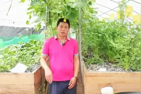农人总结出鱼菜共生10大缺点，并附部分对策，还有几个无解你会吗视频封面