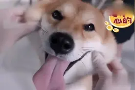 小H陪小O做产检，医生当时说是三胞胎，网友：到底谁给漏掉了！