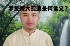 梦见被大蛇追是何警示？