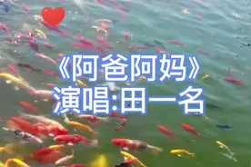 经典好听伤感情歌感动人生《阿爸阿妈》田一名