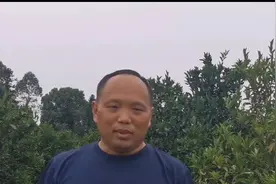 果园除草剂过量的危害及补救措施！视频封面