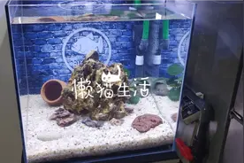 底沙过滤＋沼泽过滤视频封面