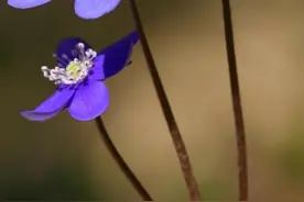 厦门盈趣小时工面试现场 好多人