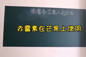 赤霉素920不但是在芒果上可以膨大拉长，还能延迟花期和采收期视频封面