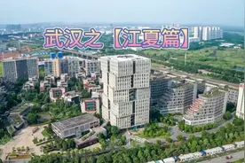 武汉光谷南大学城，江夏买房选区位你懂吗？藏龙岛庙山汤逊湖纸坊视频封面