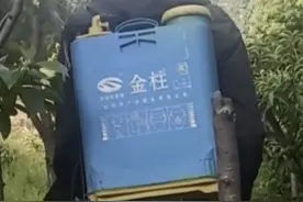 桃树属于浅根系果树，只要是在土壤中残留期短，而且不会因蒸发伤