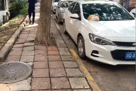 嘿，朋友，你这车停这里多久了，上面都长猫了