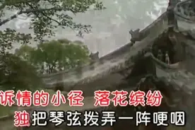 君心我心（邓丽君）视频封面
