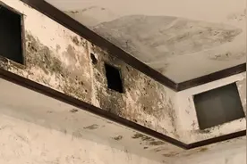 油烟机能喷水！广州一小区新房漏水漏出新高度，墙壁暗藏“池塘”视频封面
