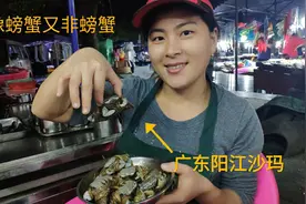 广东阳江无人岛抓捕的“沙玛”，40元一斤买了8只，大个好大呀视频封面