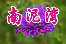 359旅旅长（王震）