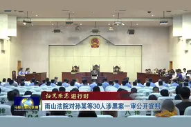 马鞍山雨山法院对孙某等30人涉黑案一审公开宣判视频封面
