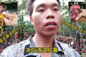 小吴养殖，鸡感冒发烧流鼻涕用这两种药，现在恢复原状效果杠杠的视频封面