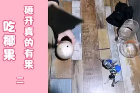 椰果新吃法，而且椰果肉真的特别香。