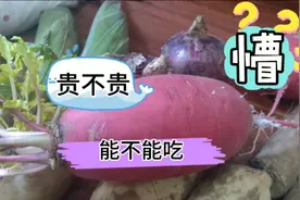 先不说贵不贵，长毛又发芽的萝卜到底能不能吃，在线等，急视频封面