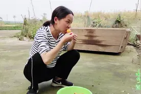 孕中期的老婆爱吃枇杷，吃一大盆都不止瘾，小易却有点担心了