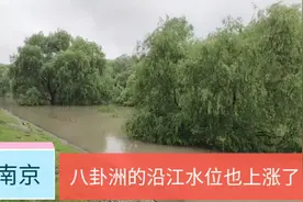 飘在长江中间的南京八卦洲，百年都没被洪水淹过，现在也要防汛了