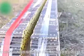 这才是正确的鞭炮燃放姿势，以前我们玩的都太小儿科了视频封面
