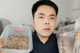 解密麻辣烫店止泻秘密？原来全靠这两种香料，看完你能放心吃了。视频封面