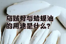 乌贼骨与蛤蟆油的用途是什么？