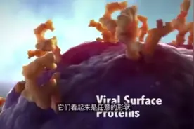 3D演示病毒入侵人体，简直是一场宇宙大战……视频封面