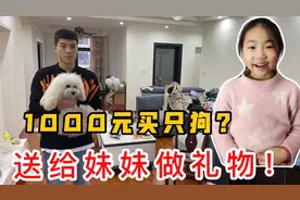 1000元给妹妹买一只狗，妹妹看到后开心坏了，妹妹：狗狗真可爱！