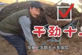 农村大叔菜棚干农活儿，50多岁干劲十足，为生活努力拼搏，真帅视频封面