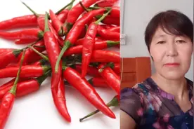 不要再为晒辣椒发愁了，告诉你一个小方法，两天就可以把辣椒晒干