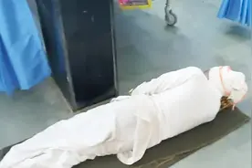 男子熟睡中毒蛇钻进衣服 一动不动吓坏亲友 捕蛇人赶来一看笑翻视频封面